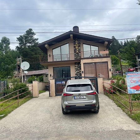 Villa Astoria Bakuriani Eksteriør billede