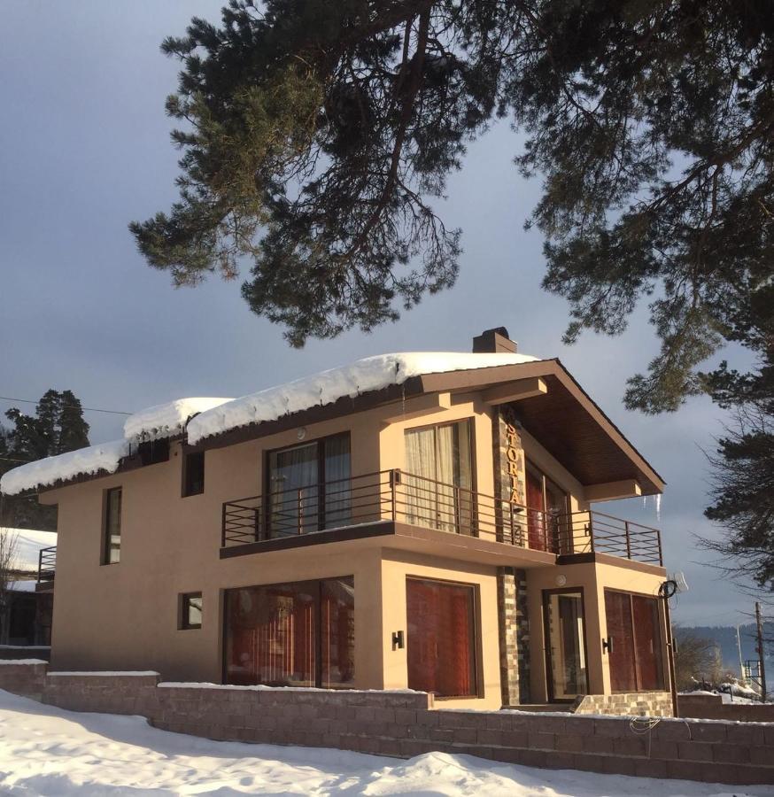 Villa Astoria Bakuriani Eksteriør billede